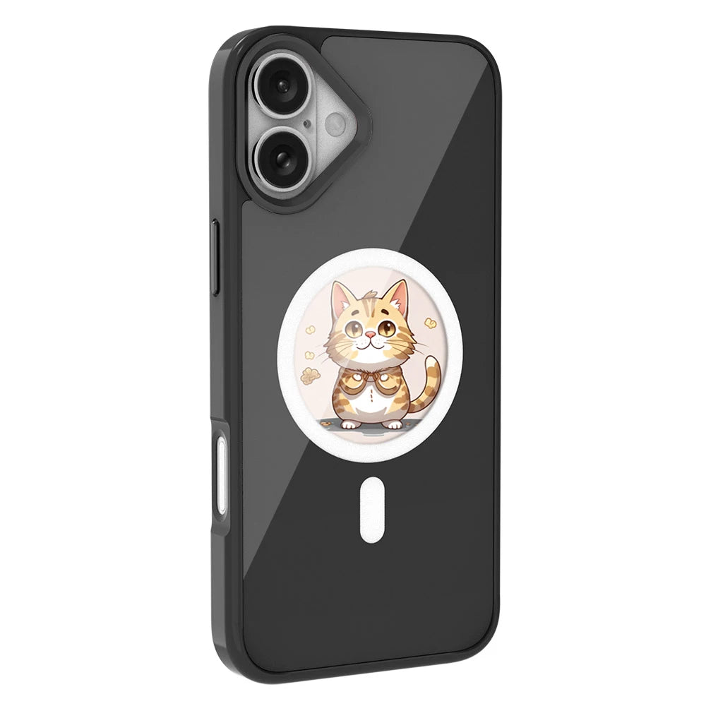 INK Case